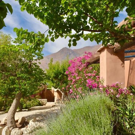 Bed and Breakfast Refugio Misterios Del Elqui Pisco Elqui Exterior foto