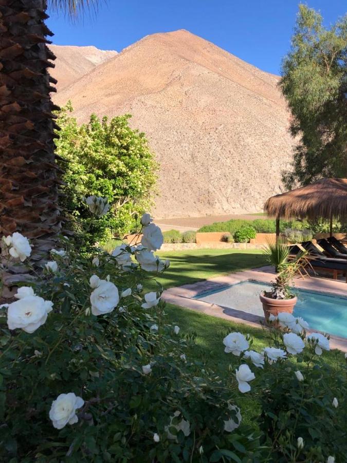 Bed and Breakfast Refugio Misterios Del Elqui Pisco Elqui Exterior foto