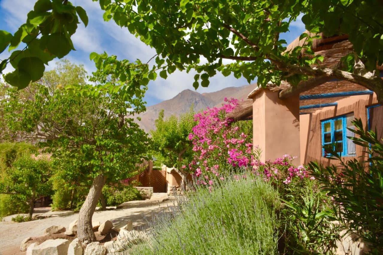 Bed and Breakfast Refugio Misterios Del Elqui Pisco Elqui Exterior foto