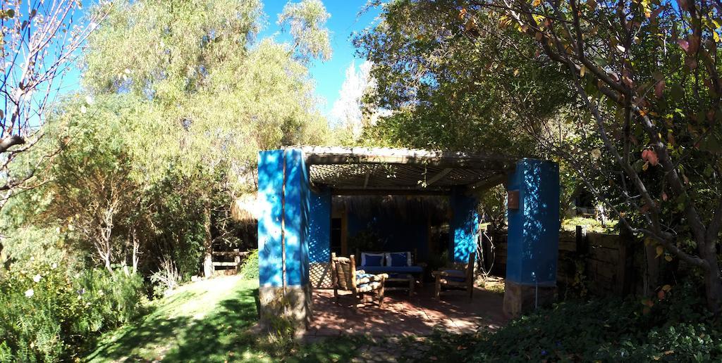 Bed and Breakfast Refugio Misterios Del Elqui Pisco Elqui Exterior foto