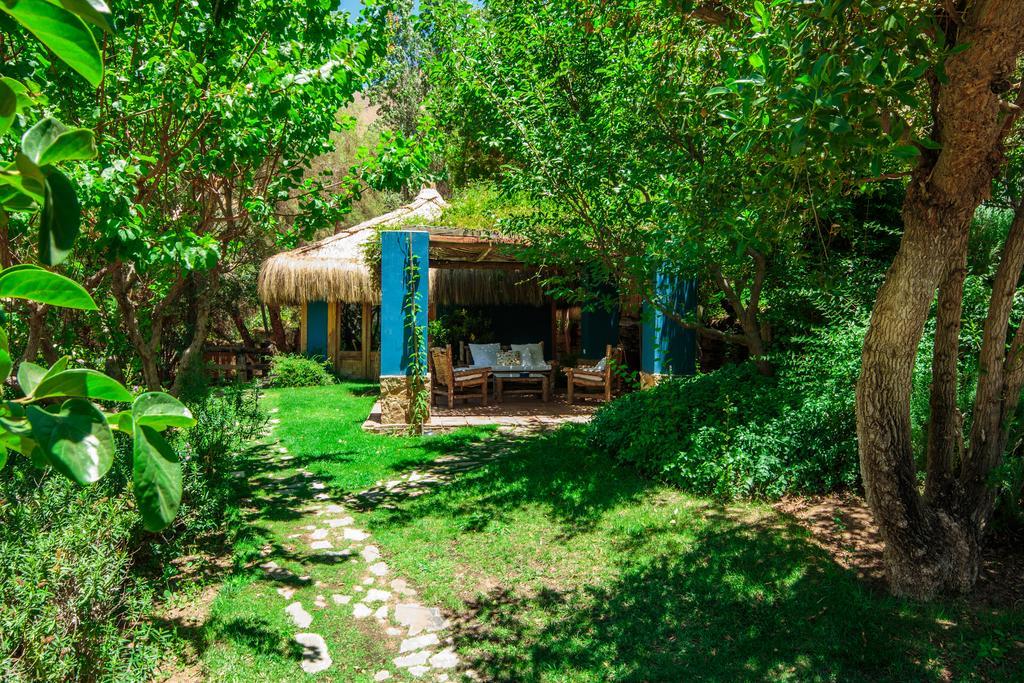Bed and Breakfast Refugio Misterios Del Elqui Pisco Elqui Exterior foto