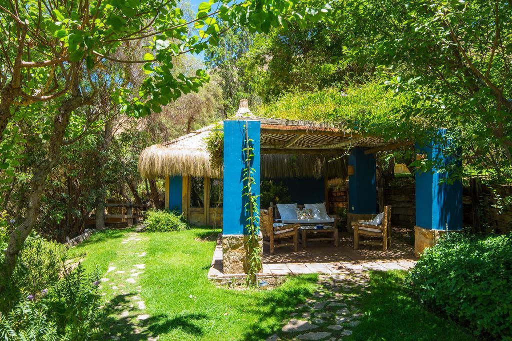 Bed and Breakfast Refugio Misterios Del Elqui Pisco Elqui Exterior foto